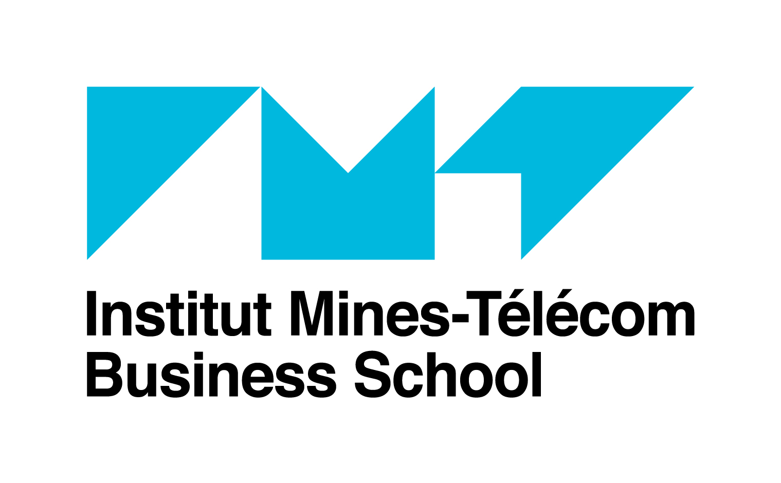 Institut Mines Télécom Business School Institut Mines Télécom Business School