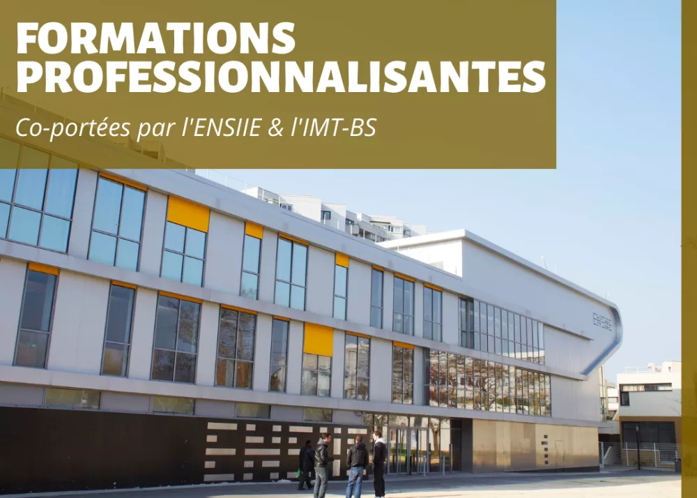 Formations professionnalisantes-1 Formations professionnalisantes-1