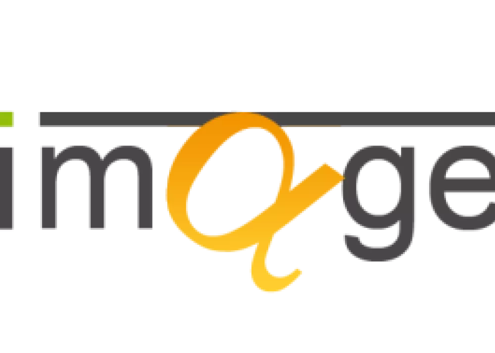logoiimage